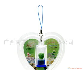 活體植物工藝品 獨特圣誕禮品的新穎選擇