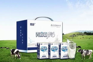 衛康 以科技創新驅動健康事業，引領甲殼素農業肥料新潮流